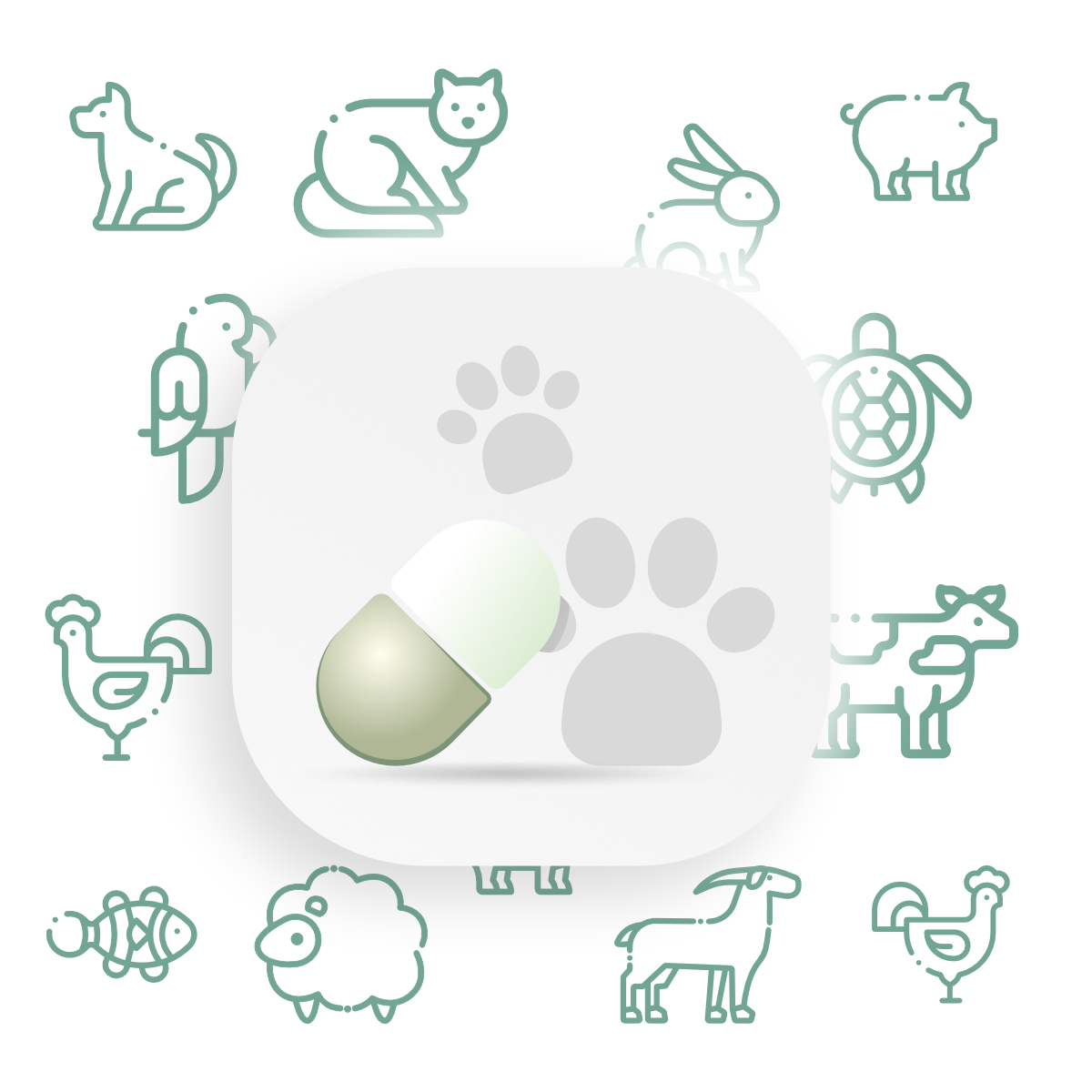 PQE-Group-Veterinary-Focus-Page-illustration-1