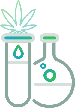 Cannabis Klinische Studien icn